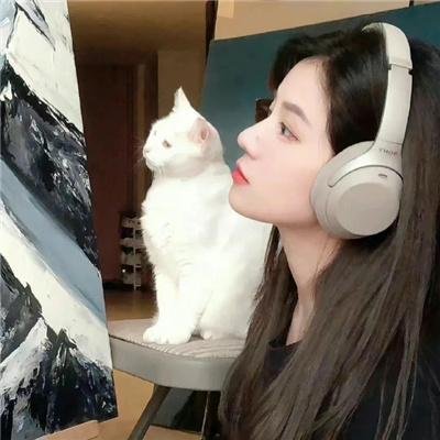 一个和八个